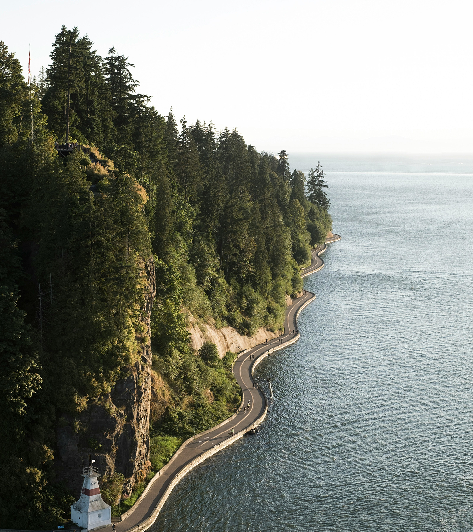 A winding coastal path beside water and forest